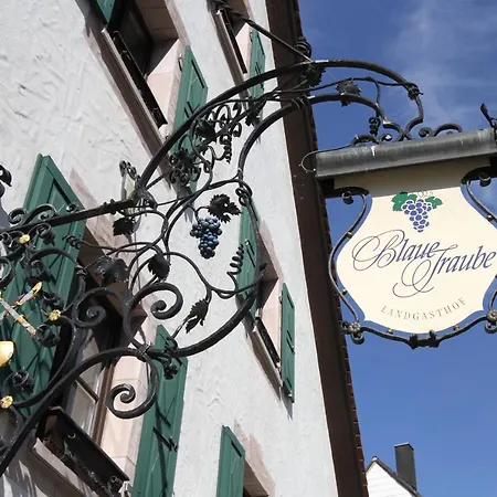 Landgasthof Blaue Traube Hotell Burgthann